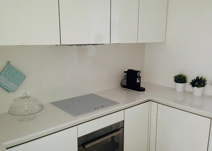 Le Copacabana Riviera 公寓 尼斯